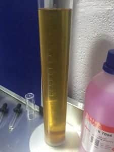 First beer sample